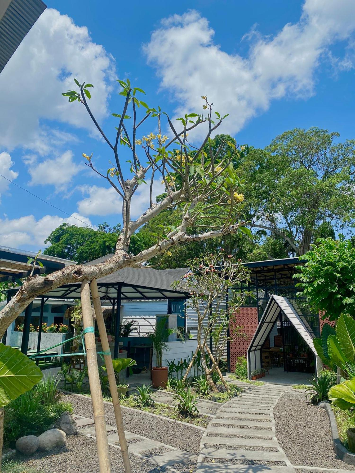 The Jungle Hostel Canggu Экстерьер фото