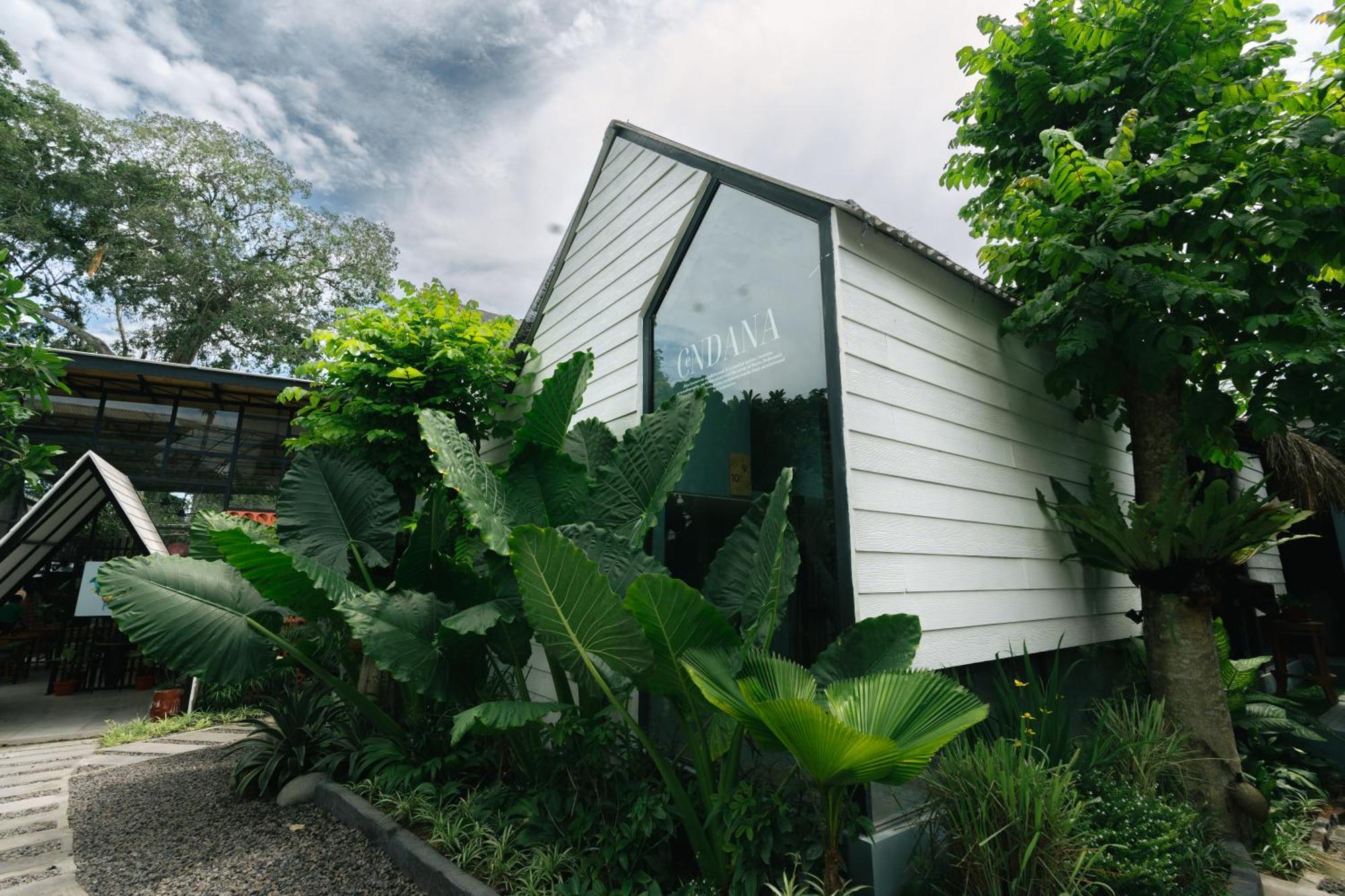 The Jungle Hostel Canggu Экстерьер фото