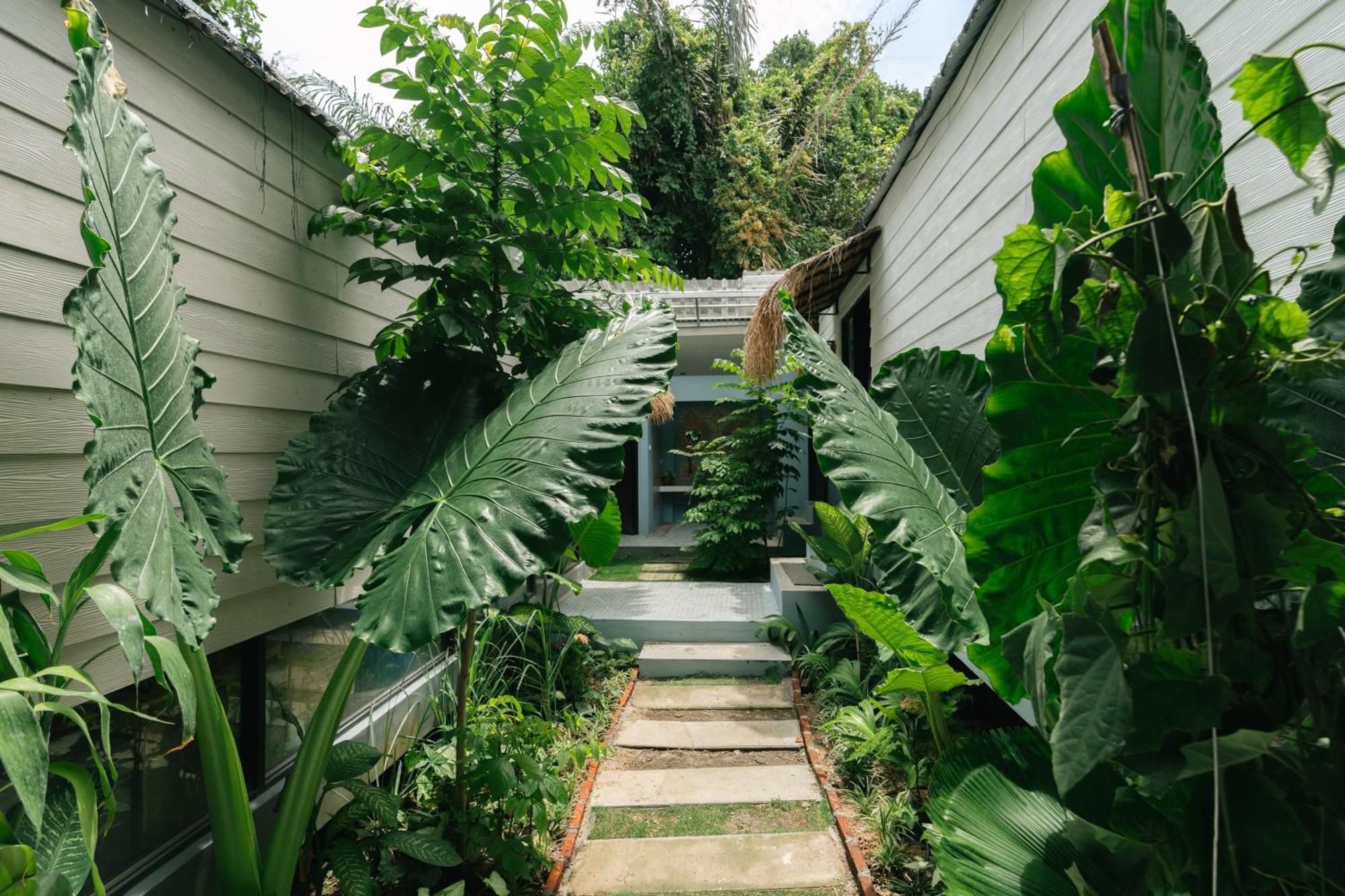 The Jungle Hostel Canggu Экстерьер фото